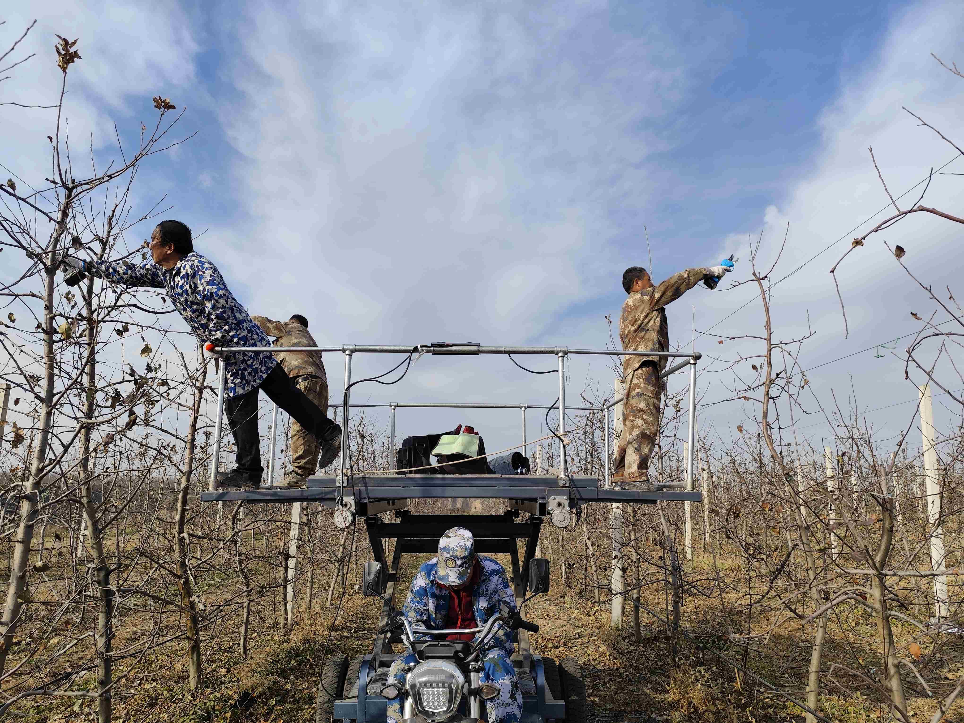 20251209161143537-23-30768.jpg 20251209161143537-23-30768.jpg