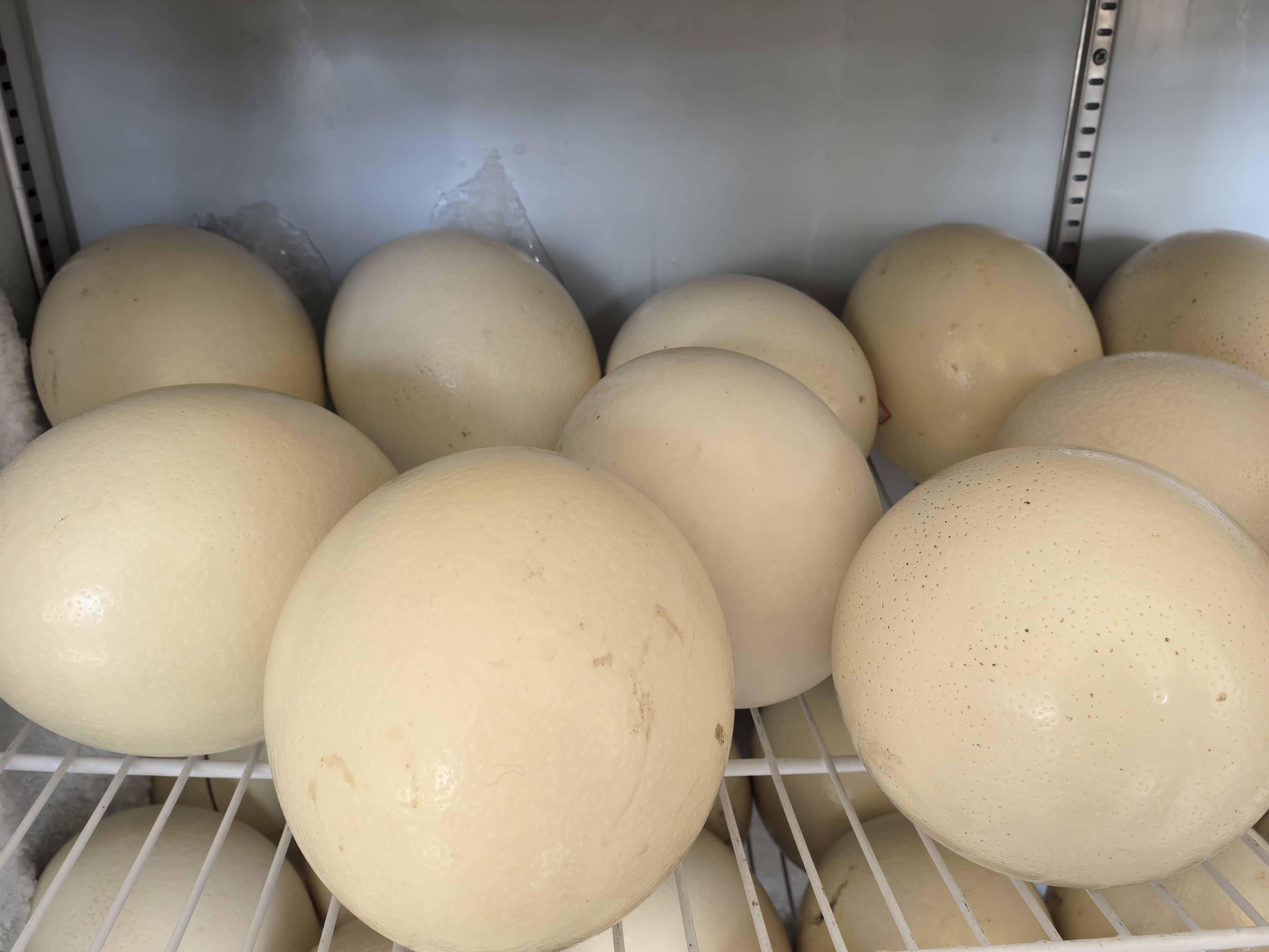 20251210140125836-79-b0416.jpg 20251210140125836-79-b0416.jpg