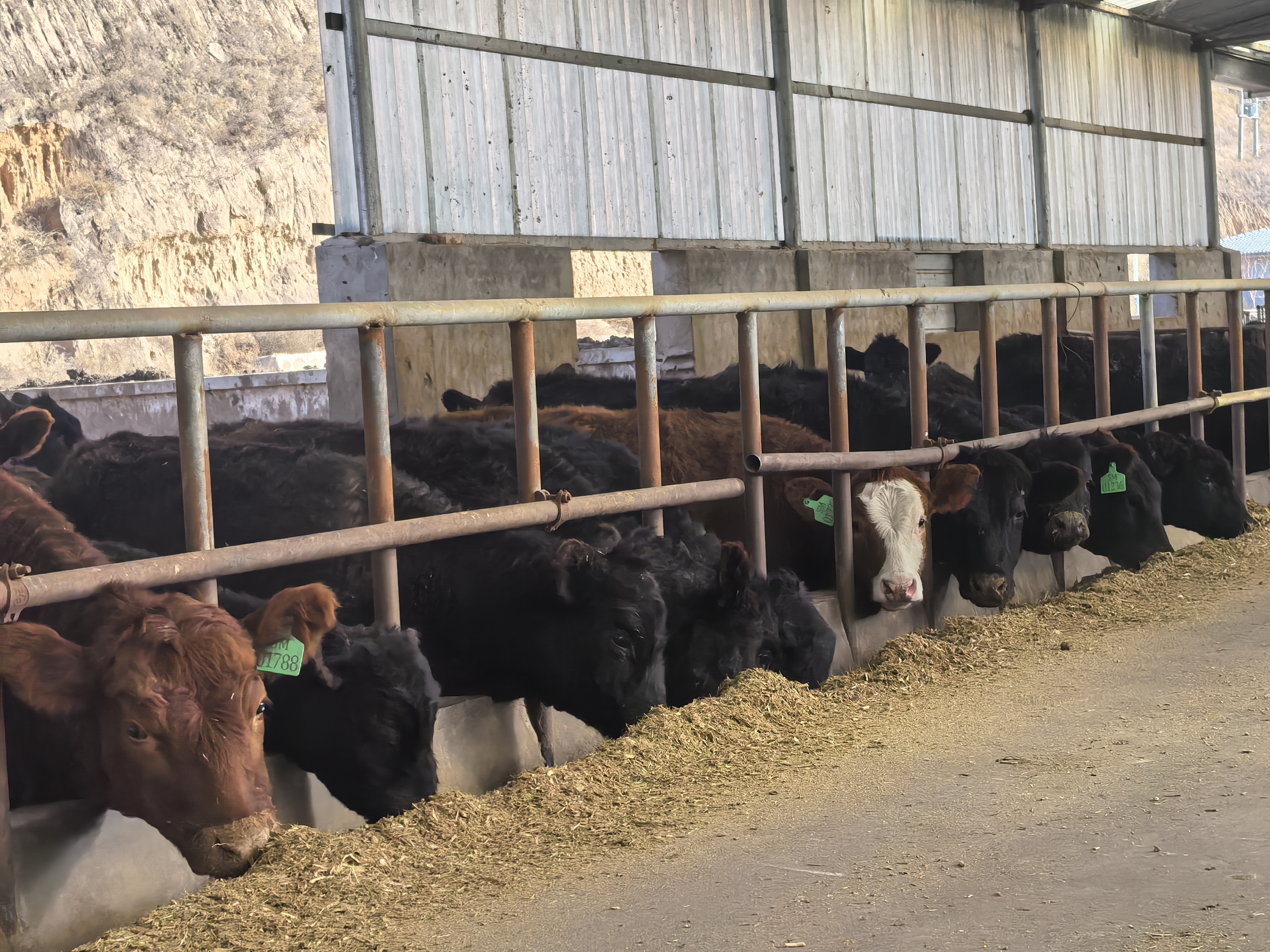 20251210140127597-27-bd4b0.jpg 20251210140127597-27-bd4b0.jpg