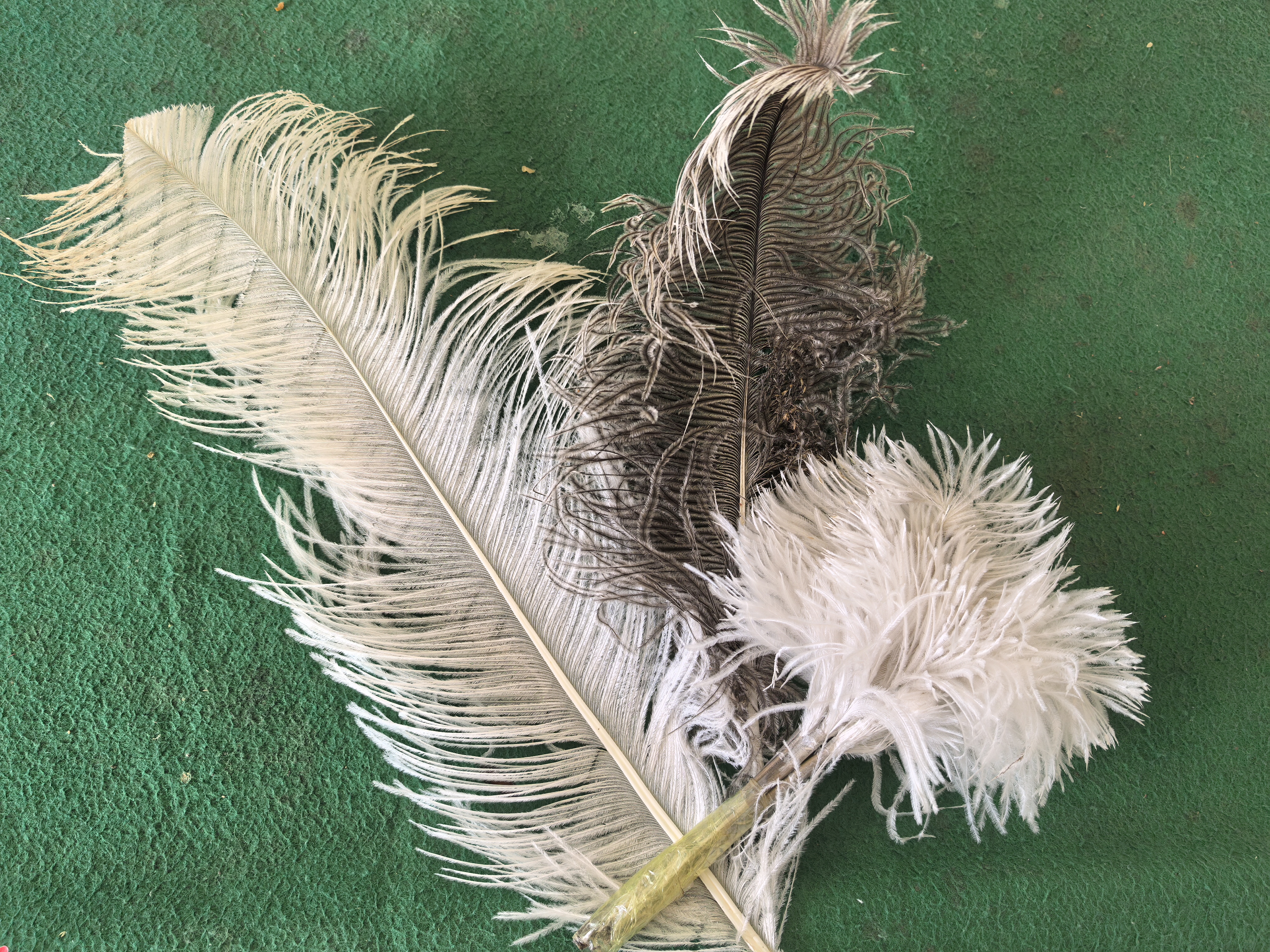 20251210140153313-45-8b96b.jpg 20251210140153313-45-8b96b.jpg