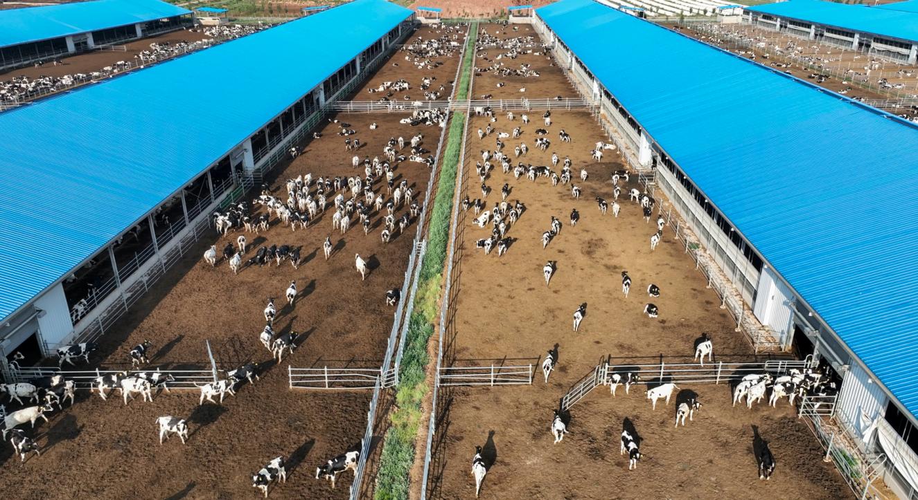 微信图片_20241122155903_1469_304