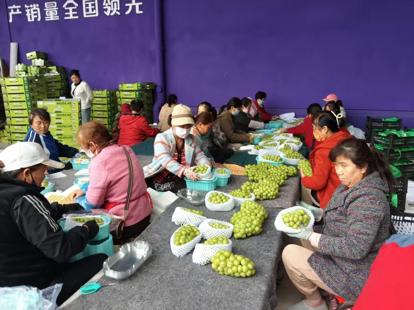 ea2e4267e5502eca9ef989e1dad921ce