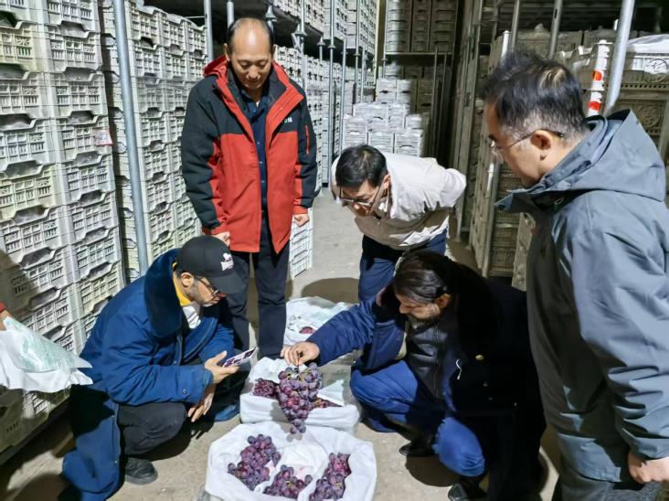 73c939619b114068f3b0b9d684eab825