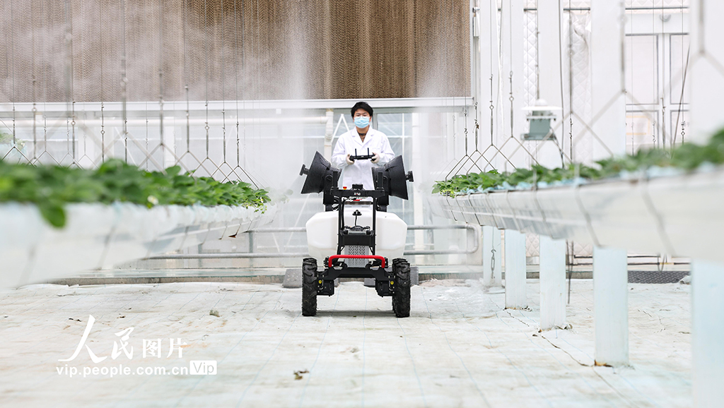 上海：实训基地学“智慧农业”【4】