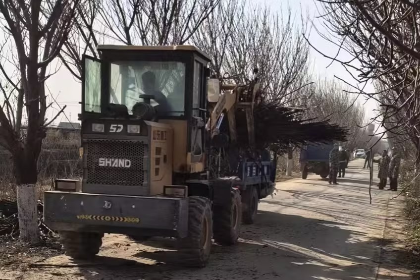 8a3f9d86-beba-4a19-be0b-e162da4af160