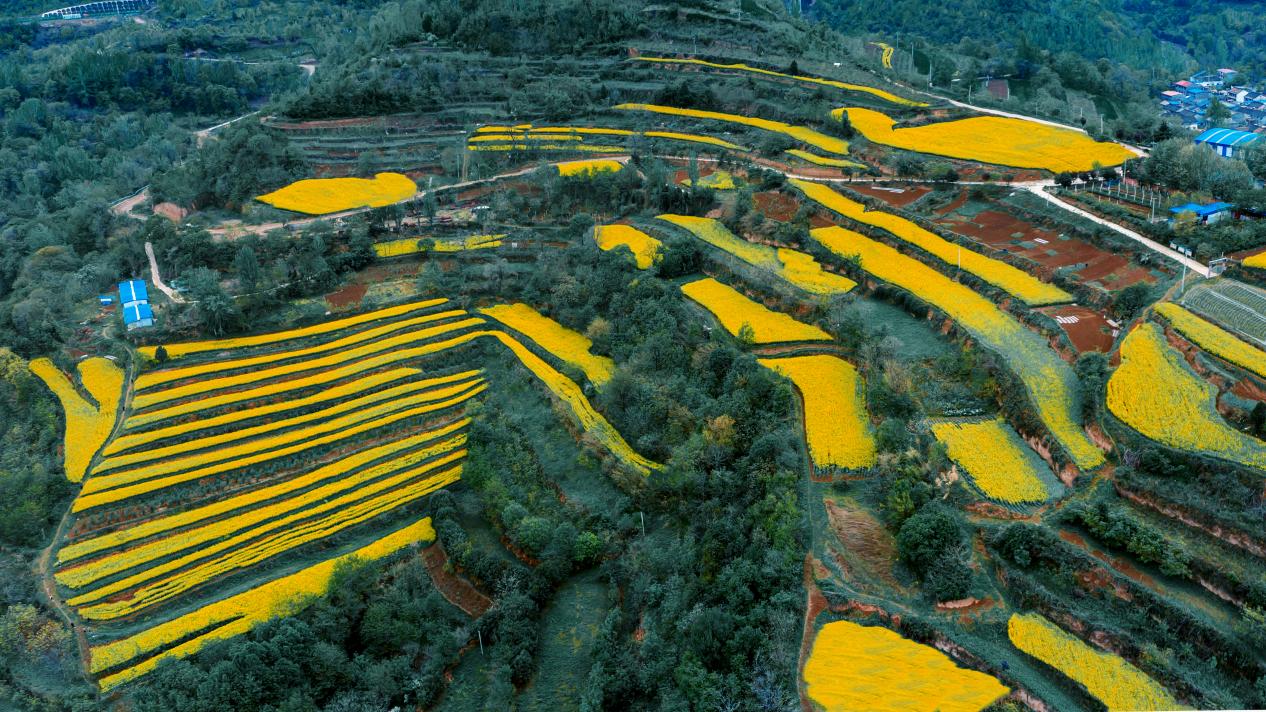 微信图片_20251224172625_256_62