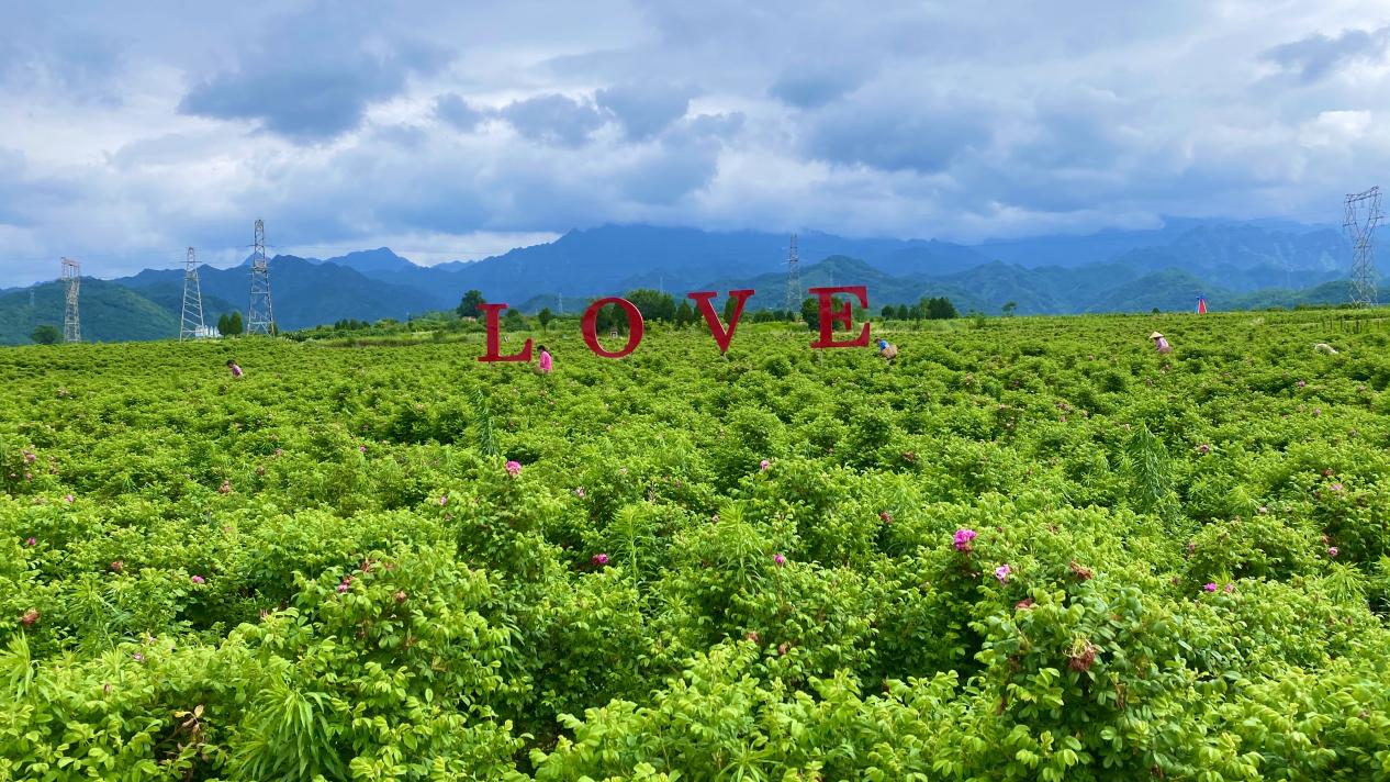 微信图片_20251224172626_257_62