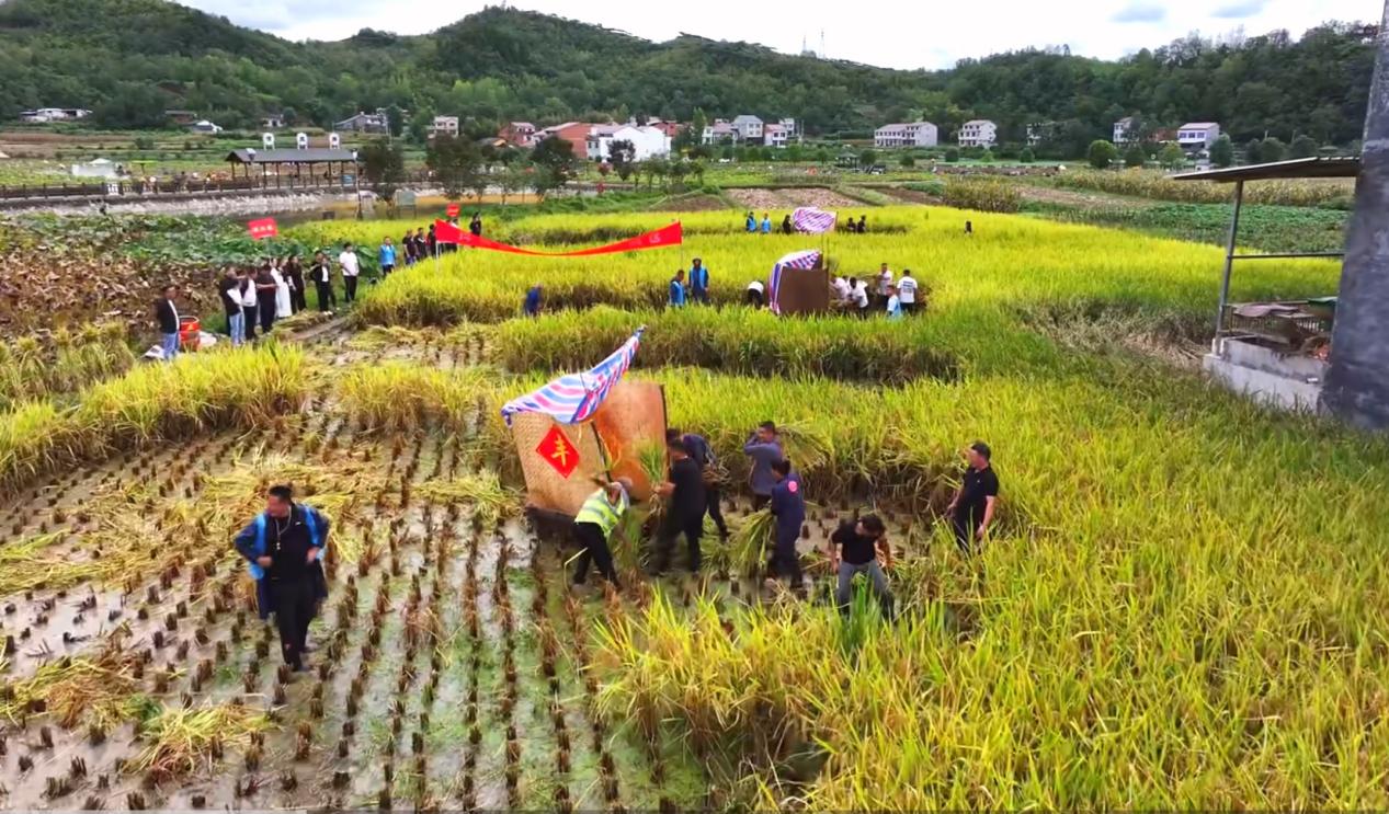 f28f5c18761c4d98fed7741b461ba7b3