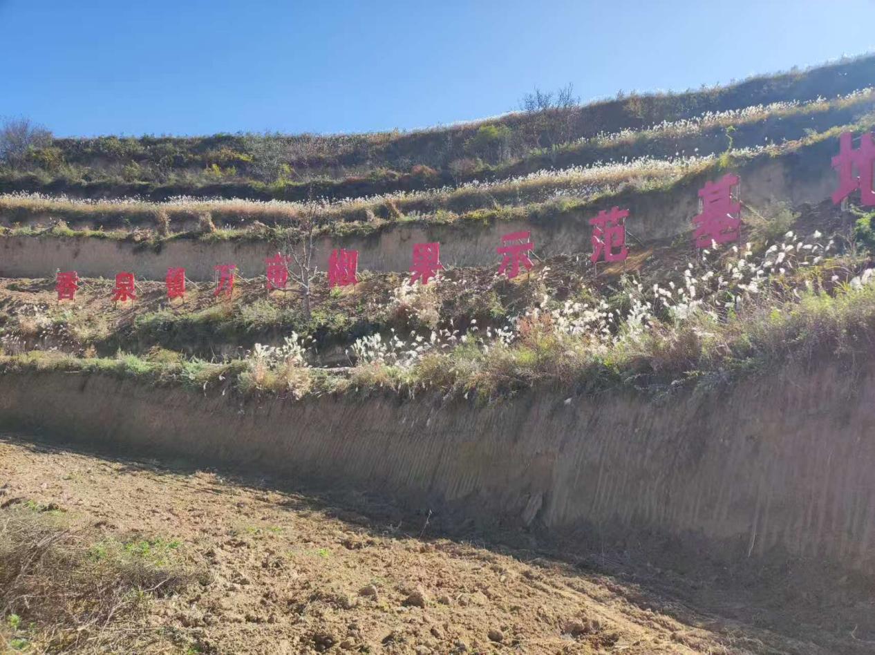 微信图片_20260119131717_32_1598