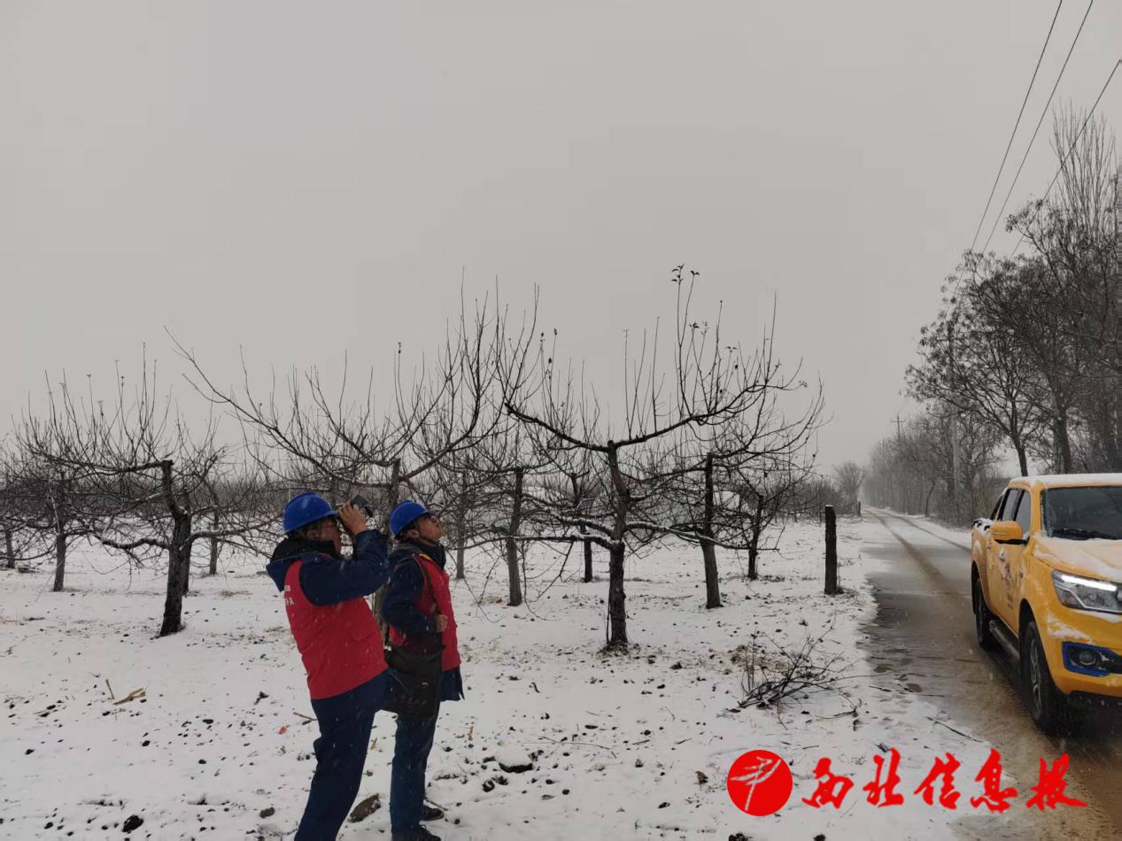 微信图片_20260120174809_373_145