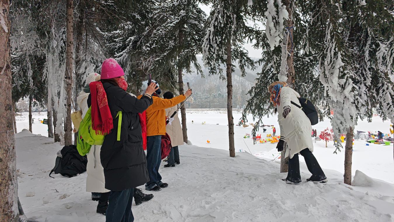 微信图片_20260122205448_2077_5