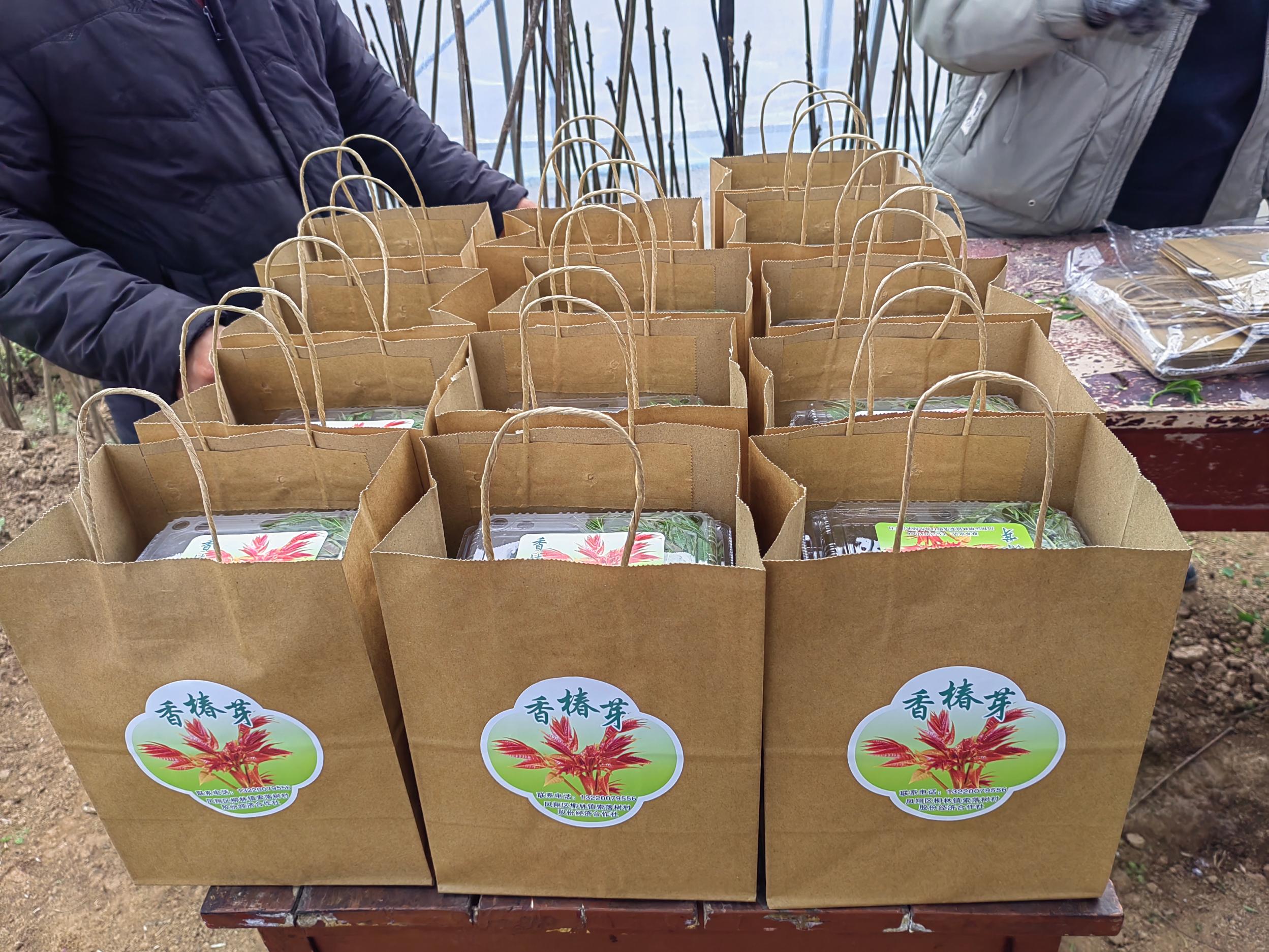 ef4dd5bbba3223a5e646d1f264ef3200