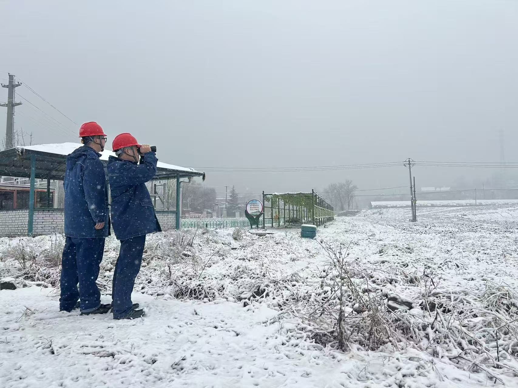 20260127094926713-87-71559.jpg 20260127094926713-87-71559.jpg