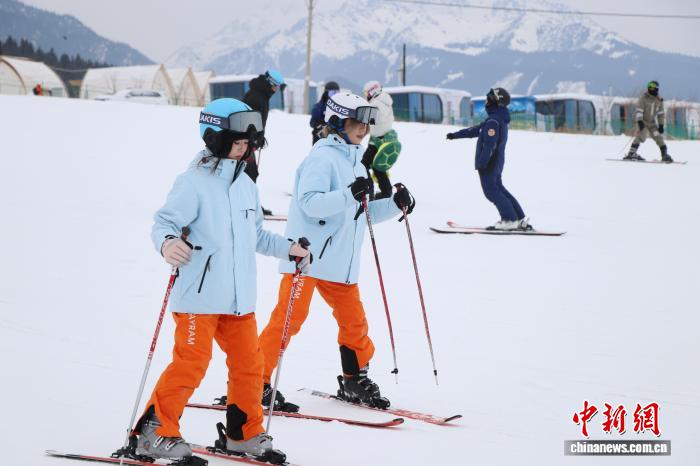 1月24日，全国台联第三十二届台胞青年冬令营新疆分营的23位台湾青年学子，走进乌鲁木齐市南郊的滑雪场，与新疆师范大学参团志愿者一同，在专业教练的带领下体验滑雪。图为台湾青年与新疆师范大学参团志愿者一起滑雪。张家伟 摄