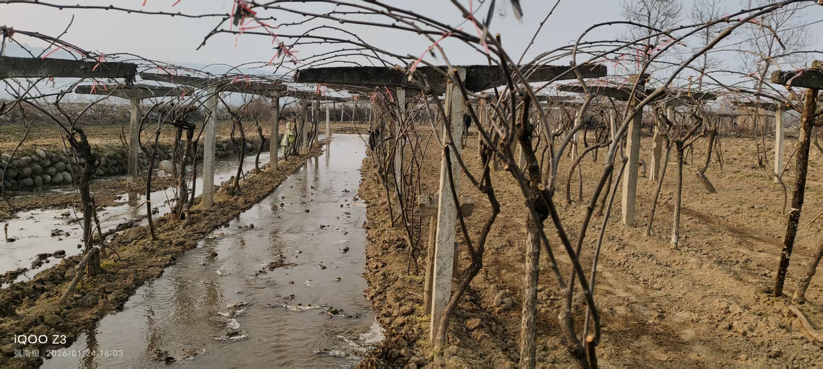 971b71771e29f182254b839e77efda07