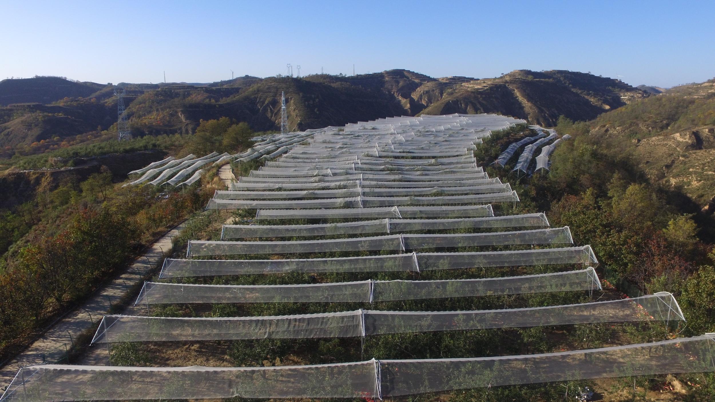 微信图片_20260204103619_12_797