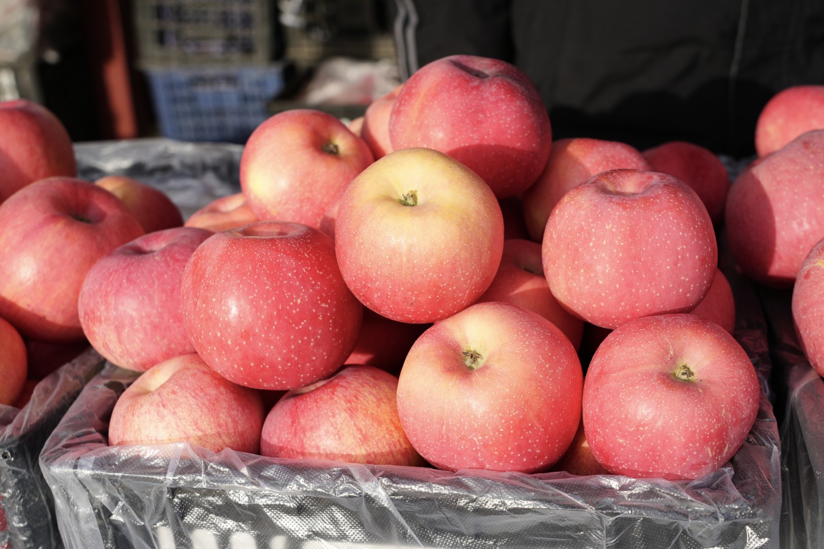 DSC01704-opq4363022013