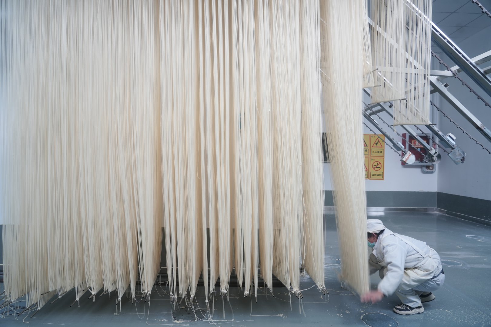 DSC02623-opq4370839302