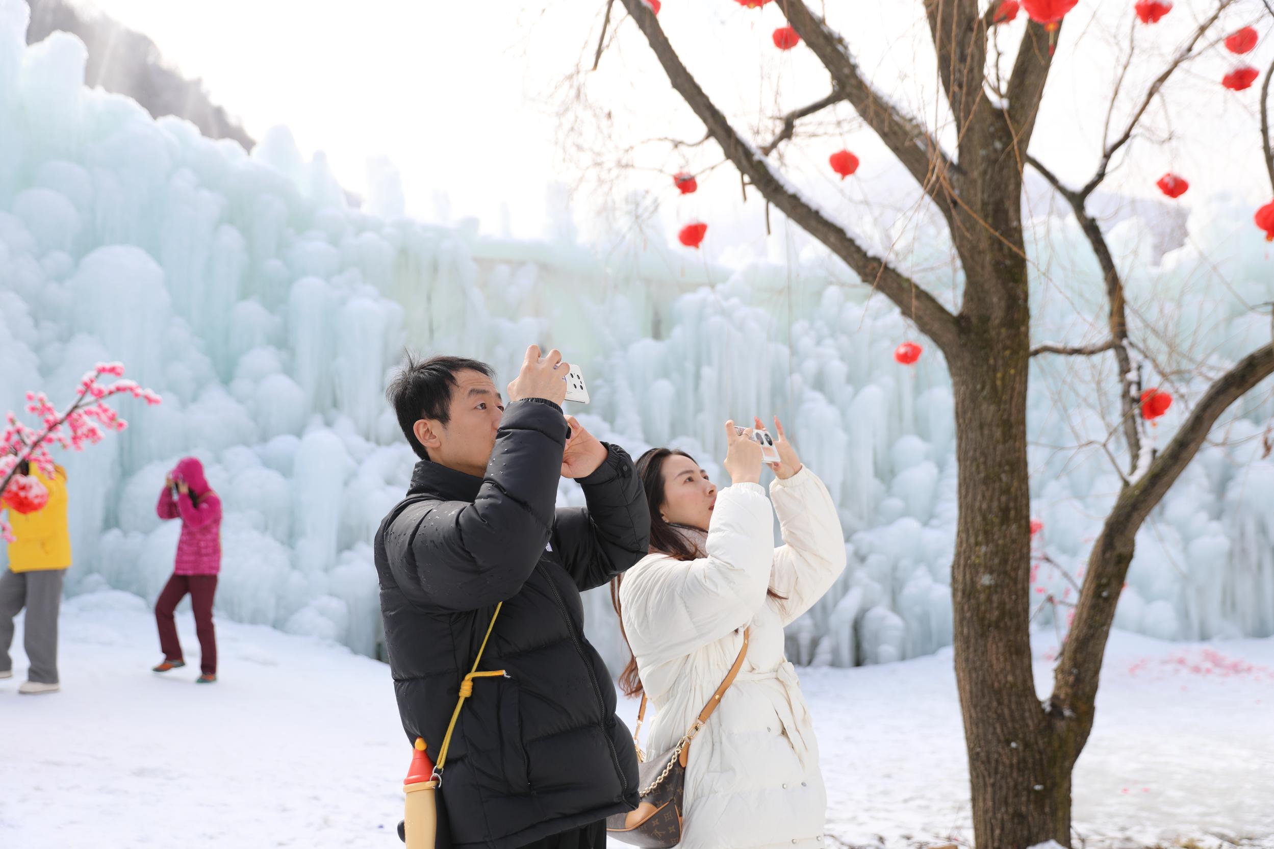 微信图片_20260209094539_412_65