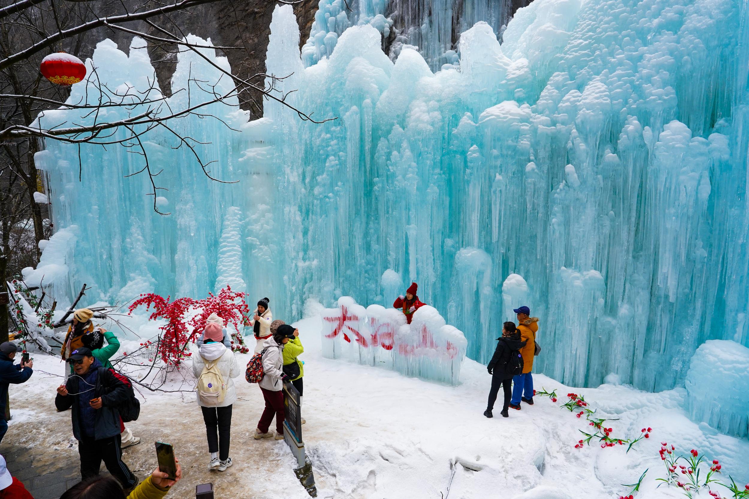 微信图片_20260209094553_423_65