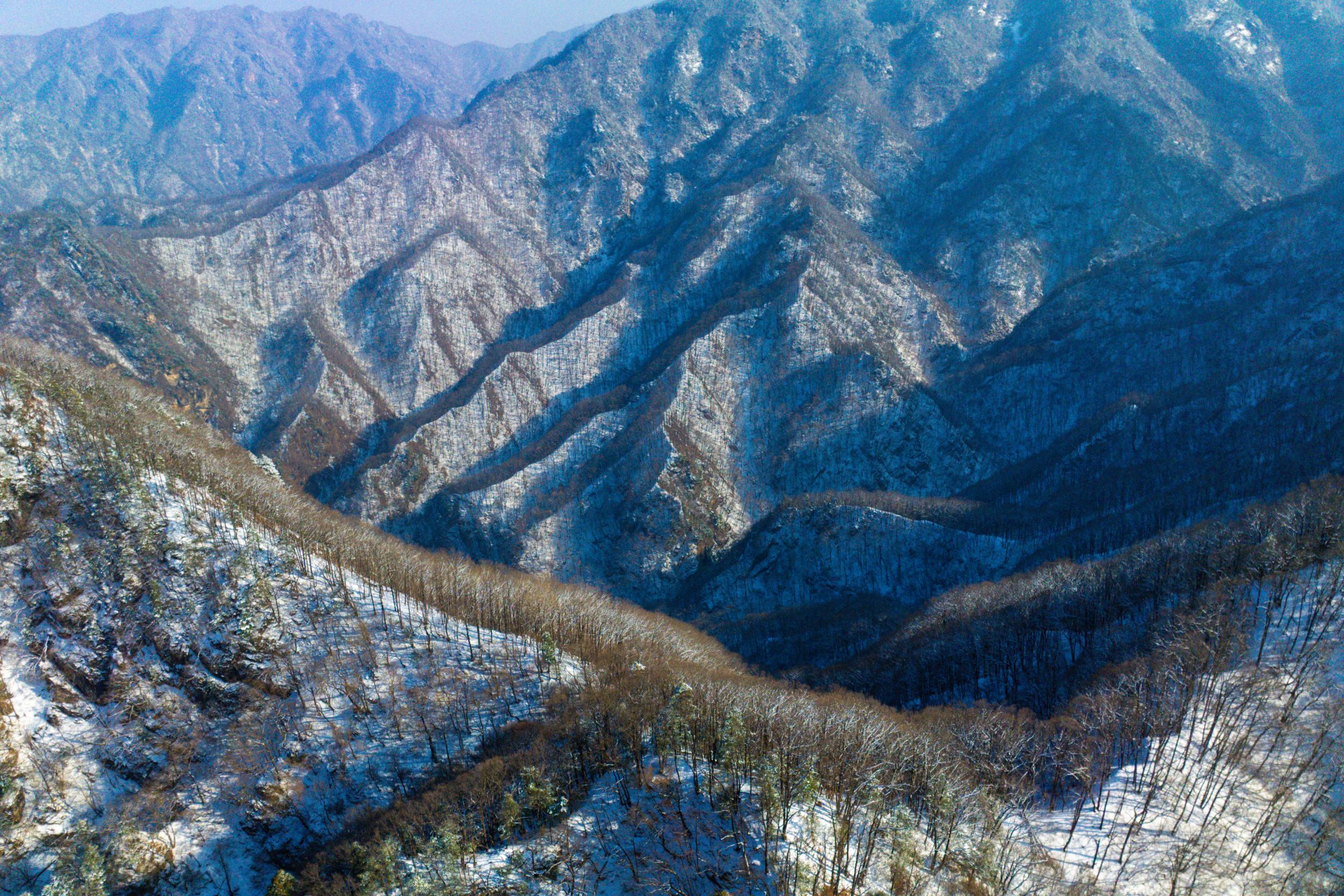 微信图片_20260209094556_428_65