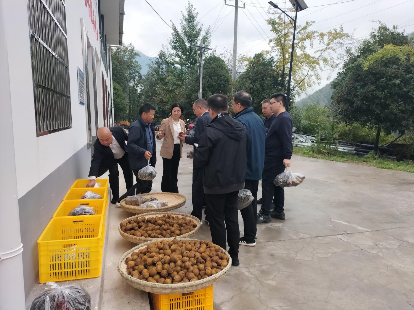 C:/Users/山猫/Desktop/微信图片_20260206135709_19_466.jpg微信图片_20260206135709_19_466