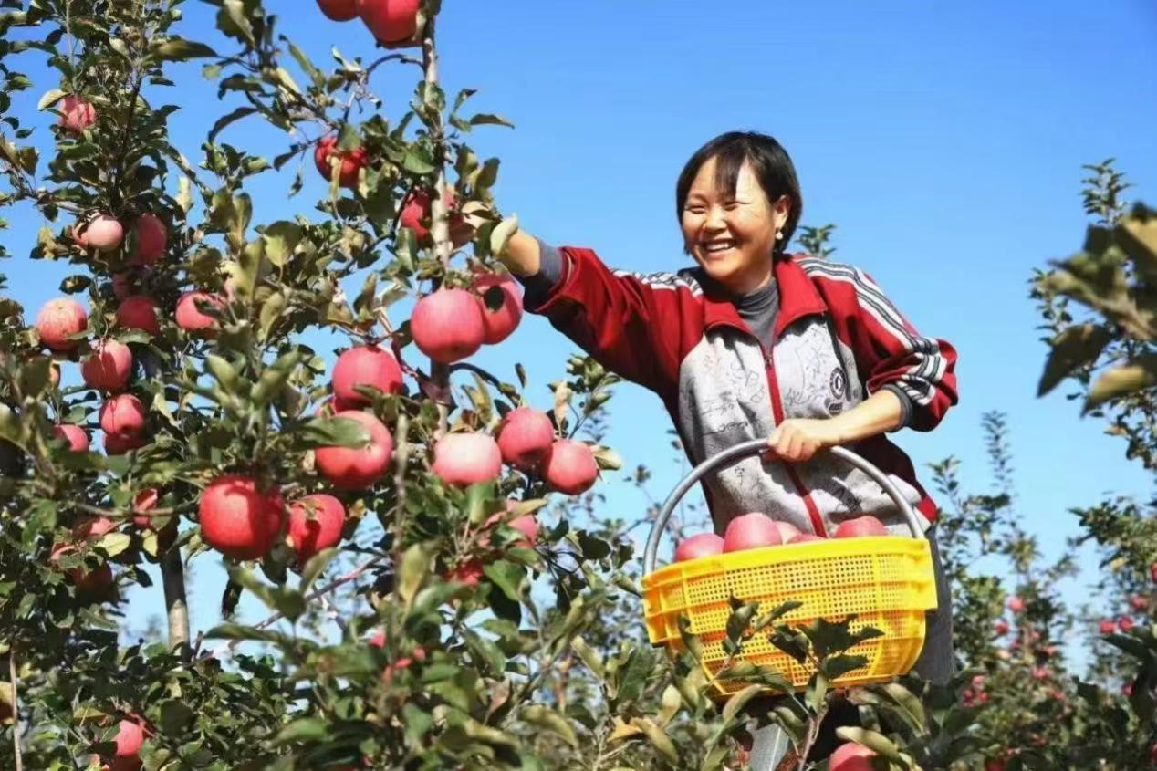 7b140c56613ebe068698cabe7a20ae19