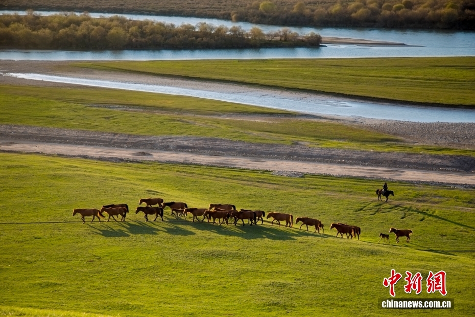走进昭苏，从靠近一匹马开始，从嘶鸣的回响中感受天山的巍峨，在群马中看见土地的富饶。