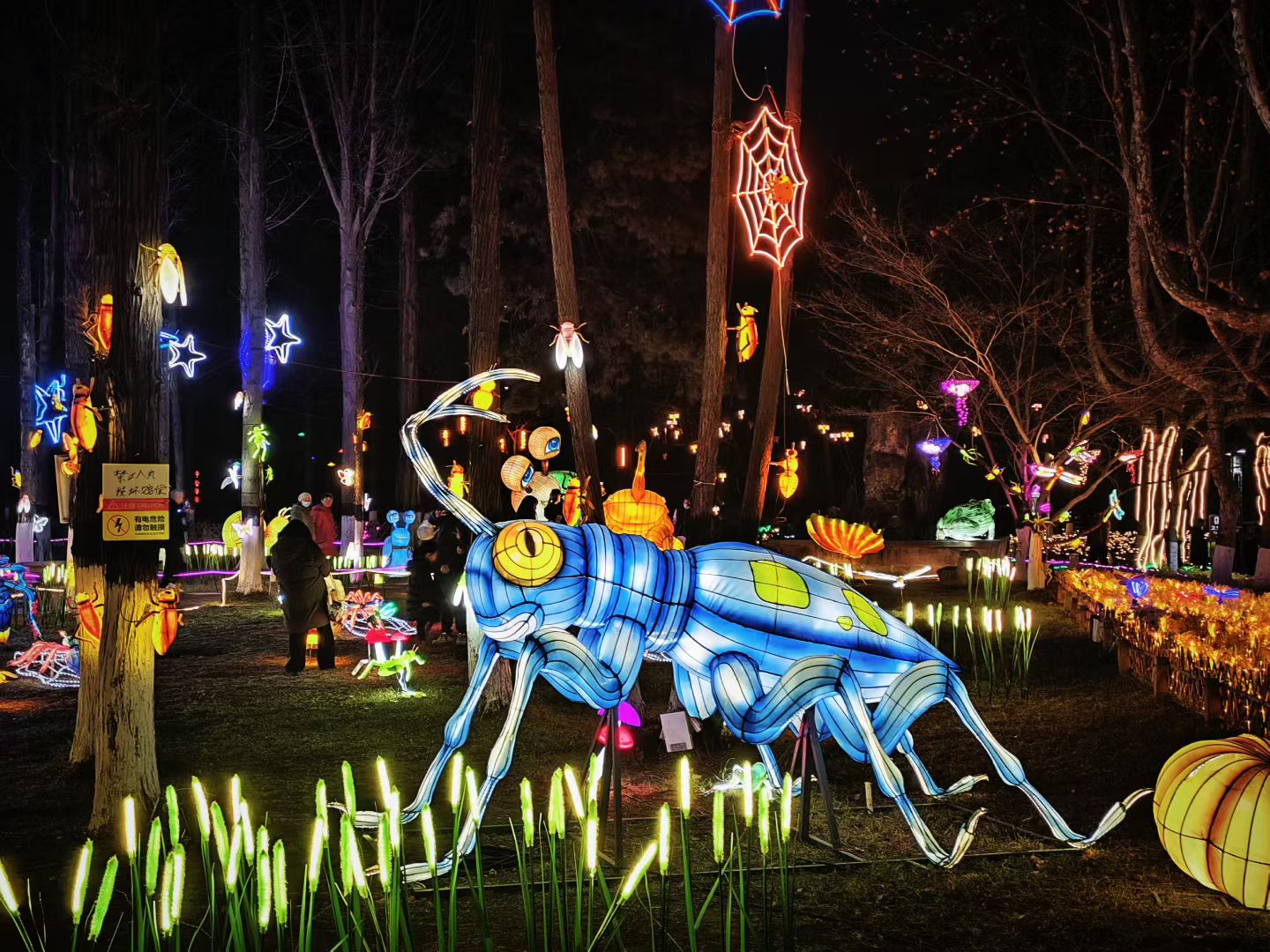 20260220211357103-95-e8f35.jpg 20260220211357103-95-e8f35.jpg