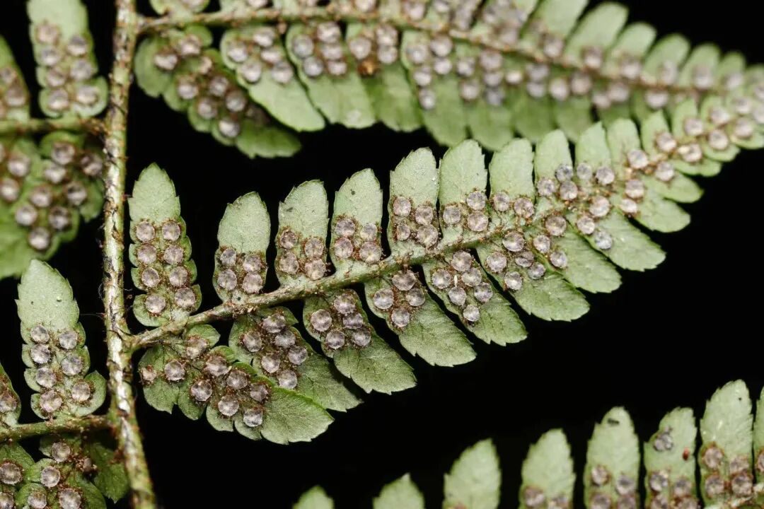 20260225092041718-44-96689.jpg 20260225092041718-44-96689.jpg