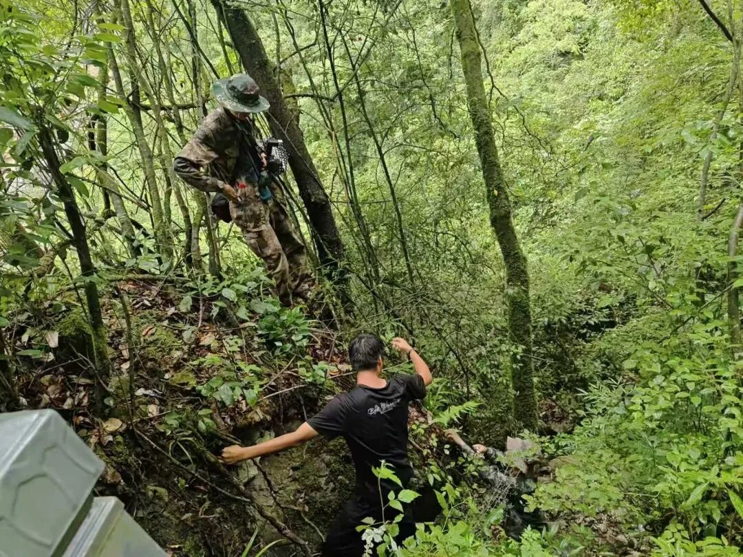 20260225092041740-36-49a06.jpg 20260225092041740-36-49a06.jpg