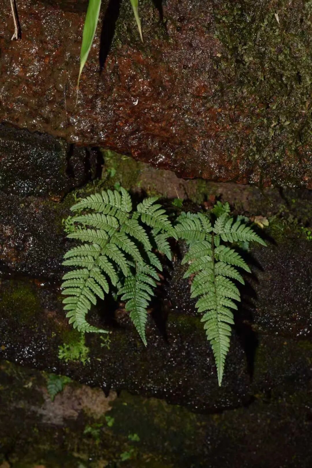 20260225092041741-21-5f946.jpg 20260225092041741-21-5f946.jpg