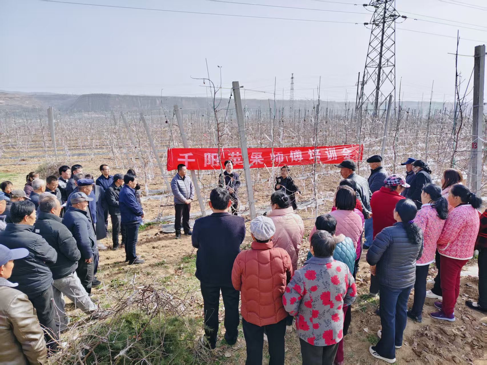 2850c9c98168ec87950e369dba64b7b6