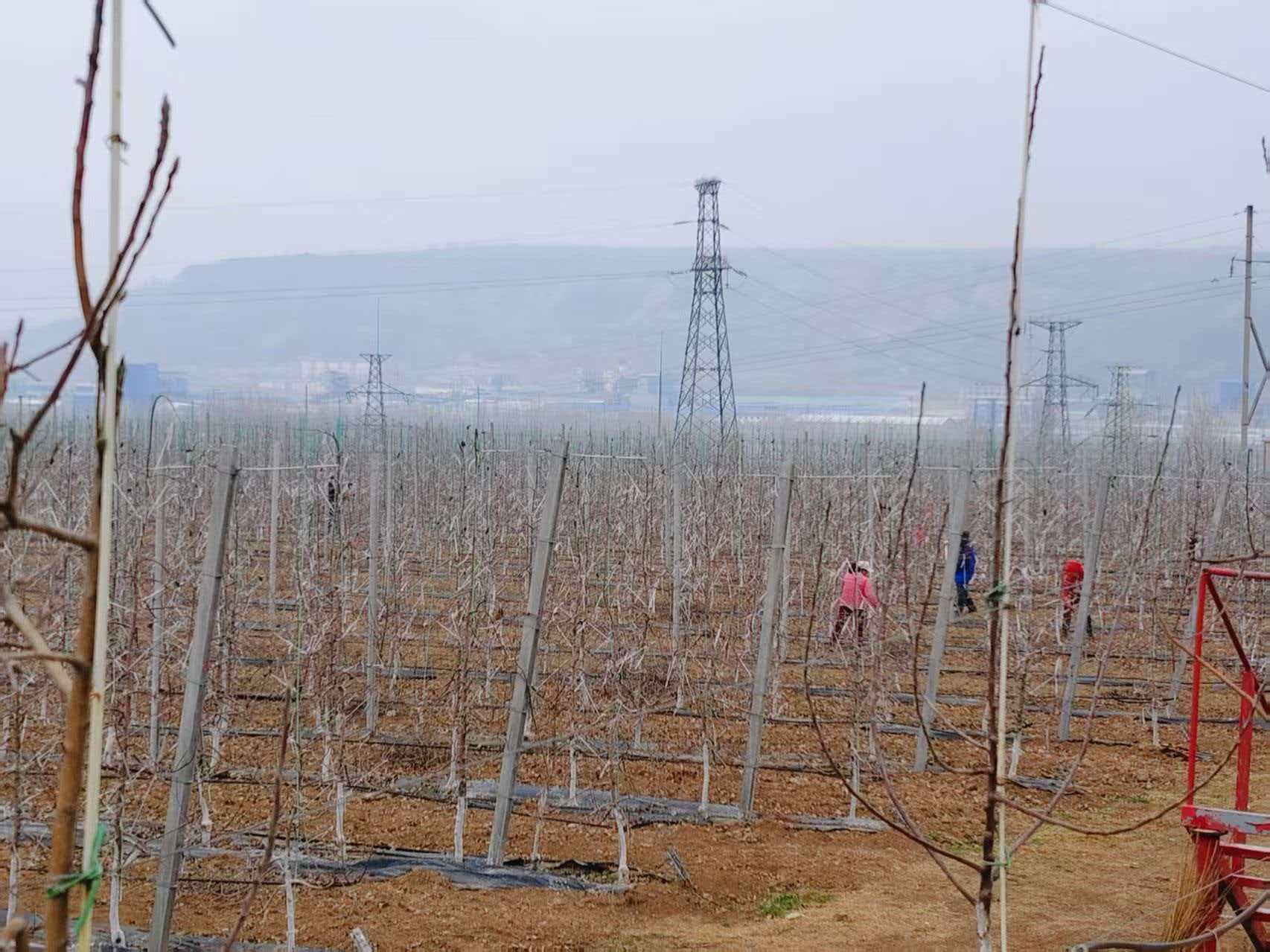 05db9ad475a23276365794f99b1d6aa5