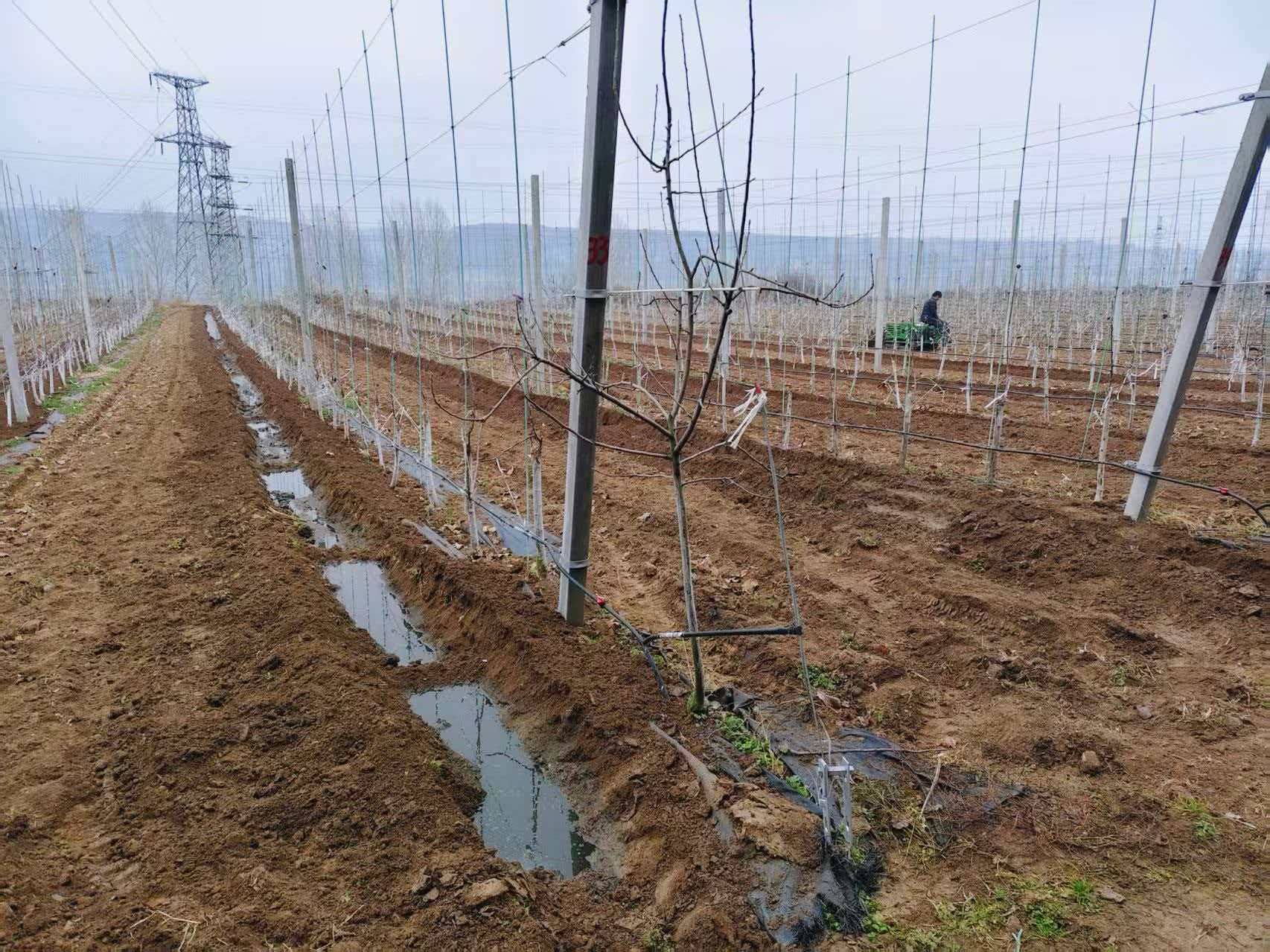 81e36f97e053b8e37a8be54728eabf68