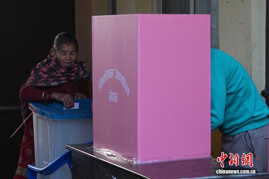 尼泊尔联邦议会众议院选举开始投票