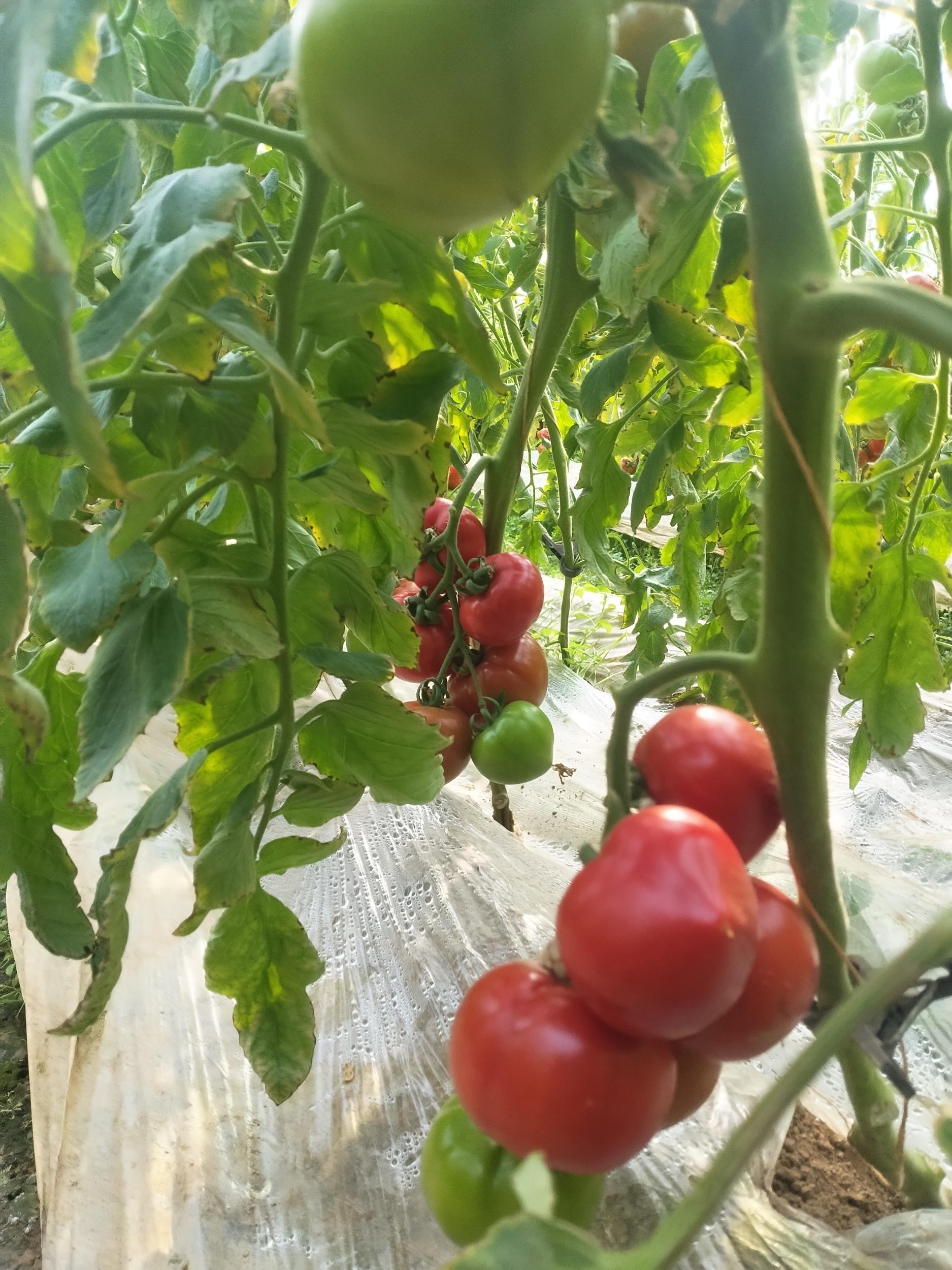 9e2249b1f26a2dfc500b00935890b268