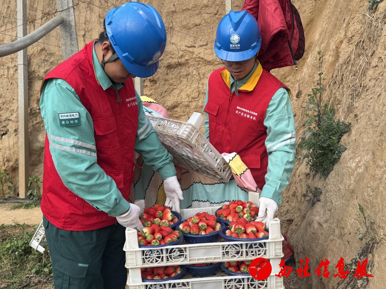 微信图片_20260311114452_121_664