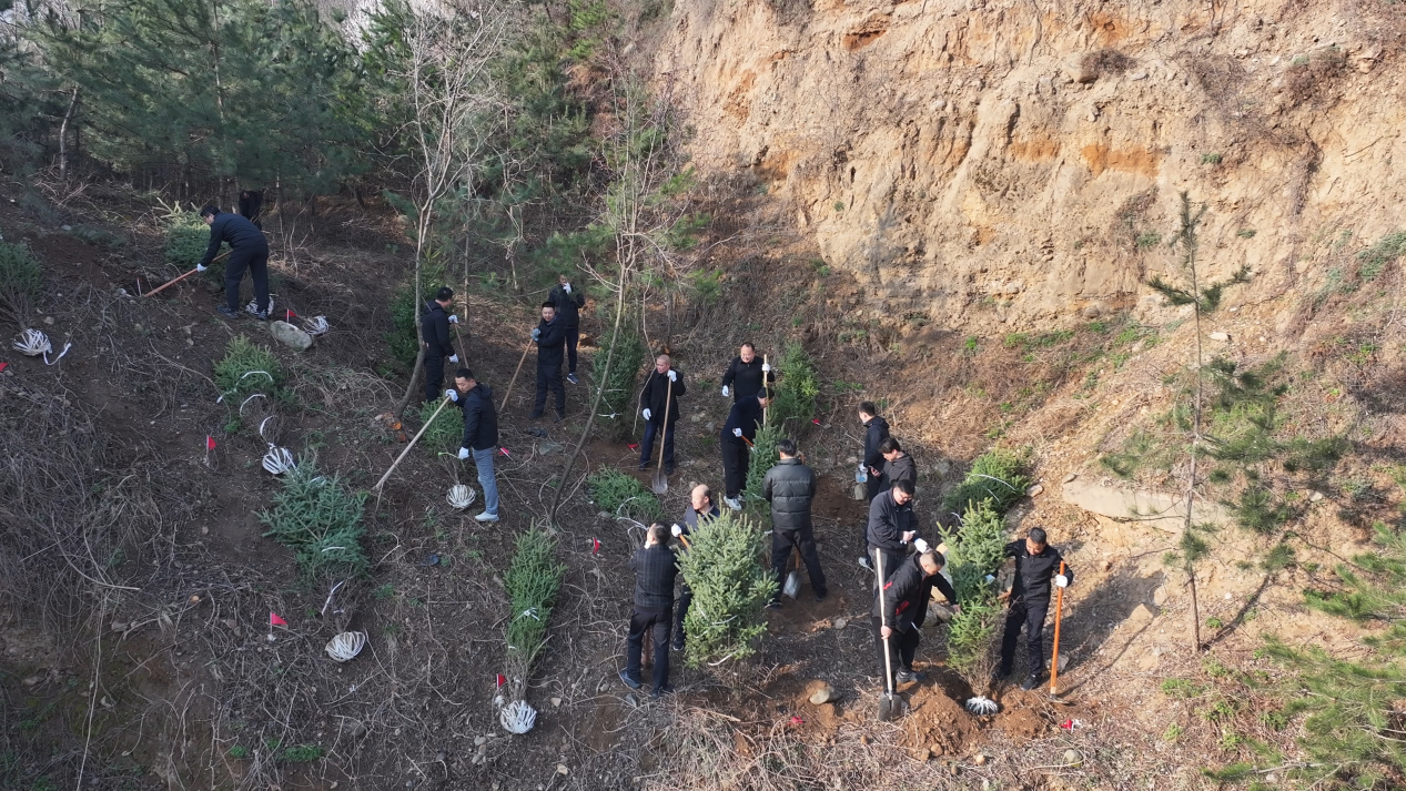 W020260312317851234416_ORIGIN