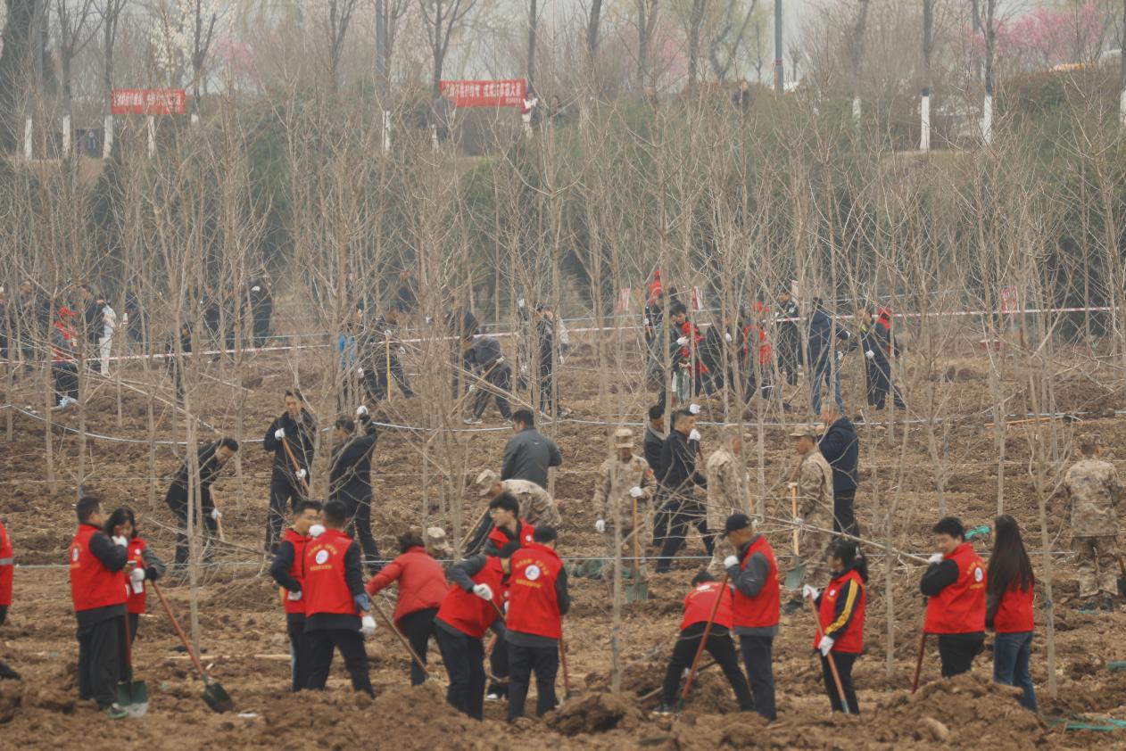 19c4e873dcca897ee09cfe298cf11531