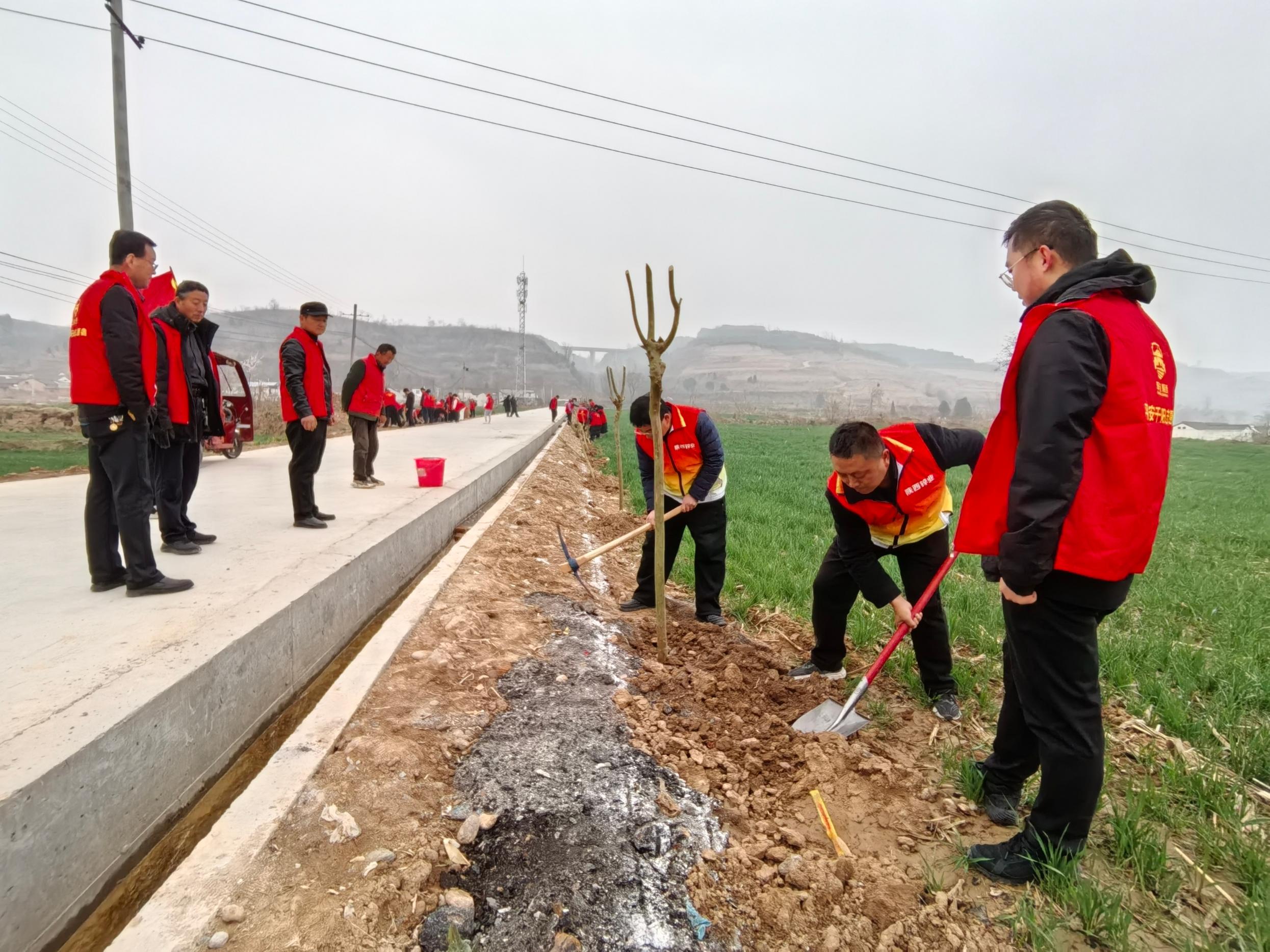 6ffb49008680f98a124ebc4a8c850a6e