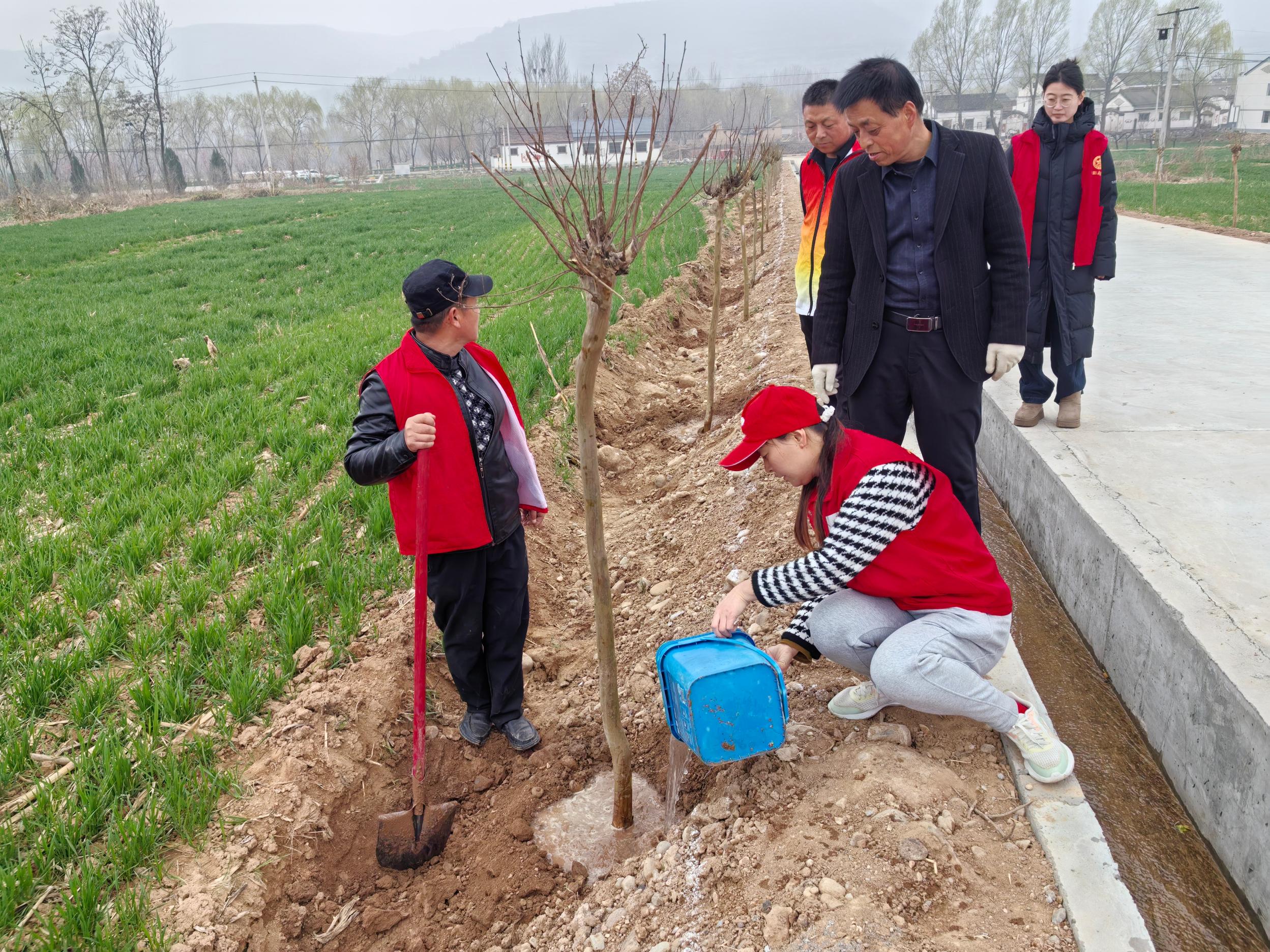 fff244b250ae0f80281d3be80e6b8038