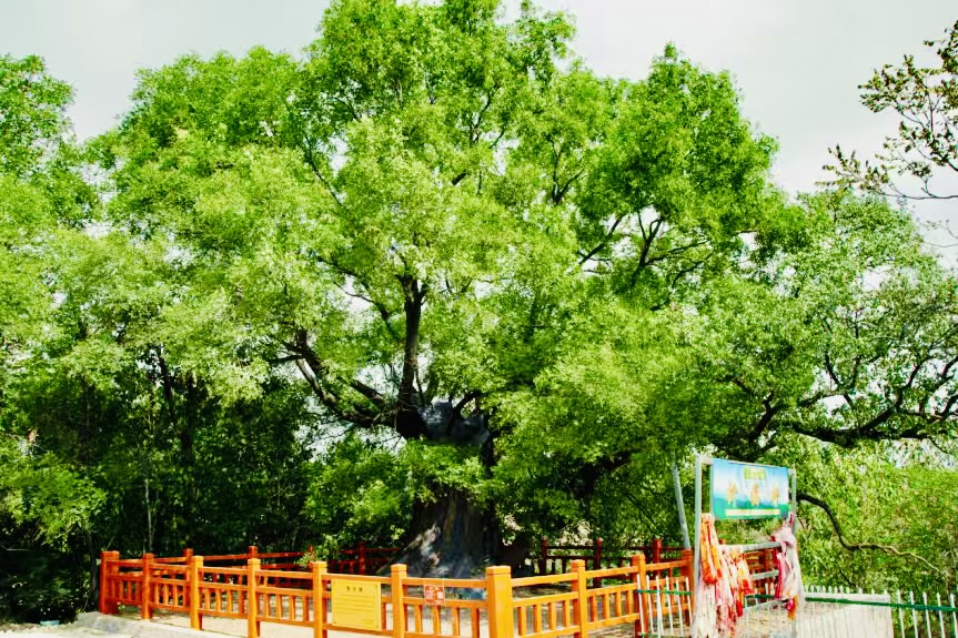 微信图片_20260313112549_24_568