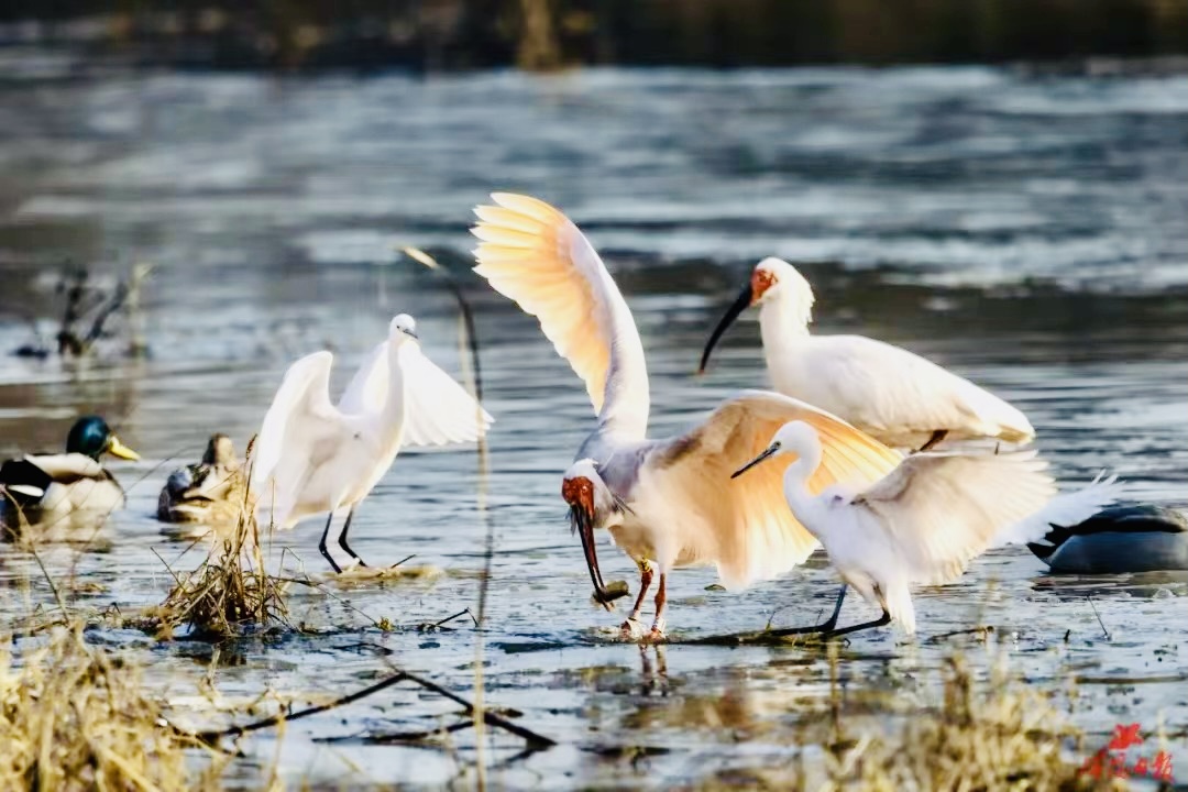 微信图片_20260313112548_23_568