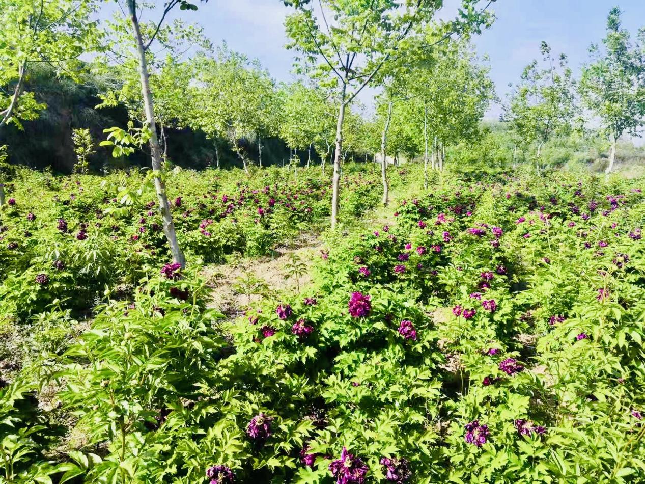 微信图片_20260313112545_22_568