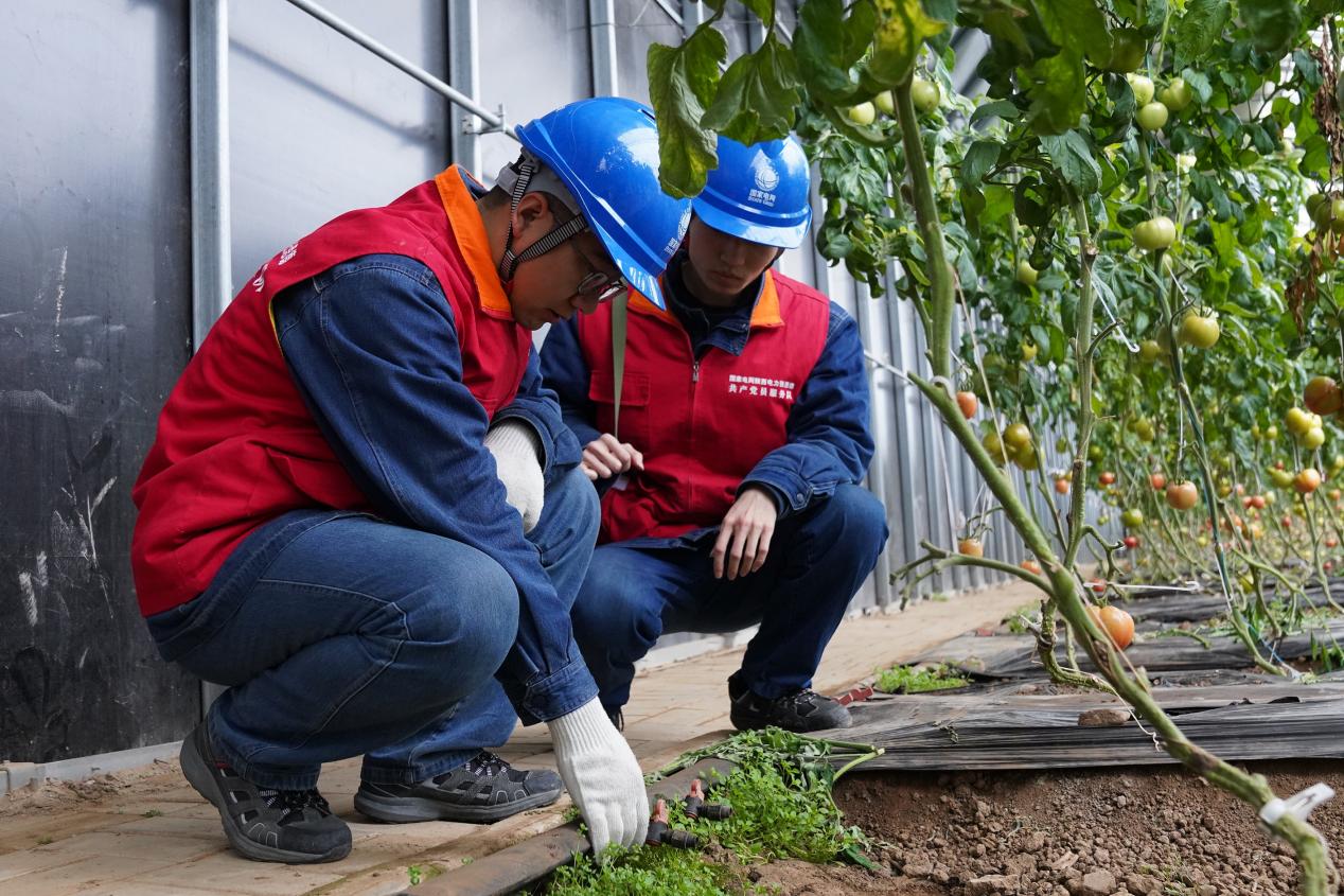国网陕西电力工作人员对灌溉设施进行检查