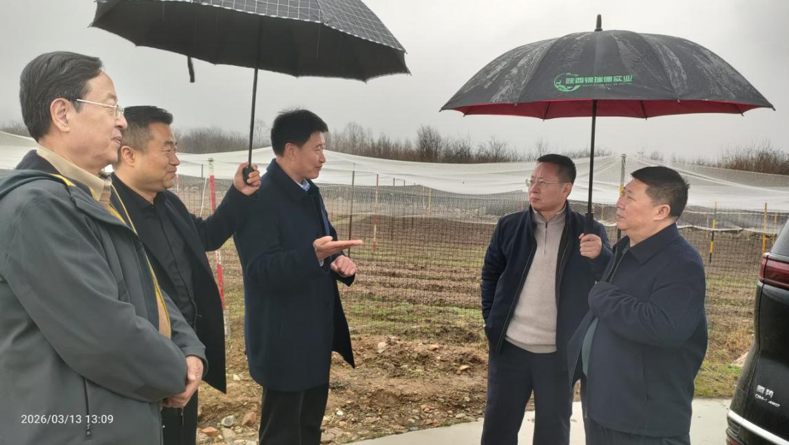 微信图片_20260314103902