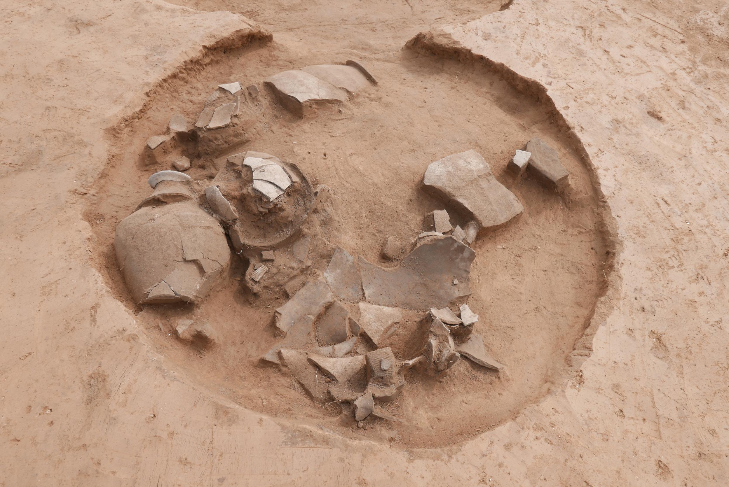 20260317125646767-23-57453.jpeg_scale.jpeg 20260317125646767-23-57453.jpeg_scale.jpeg