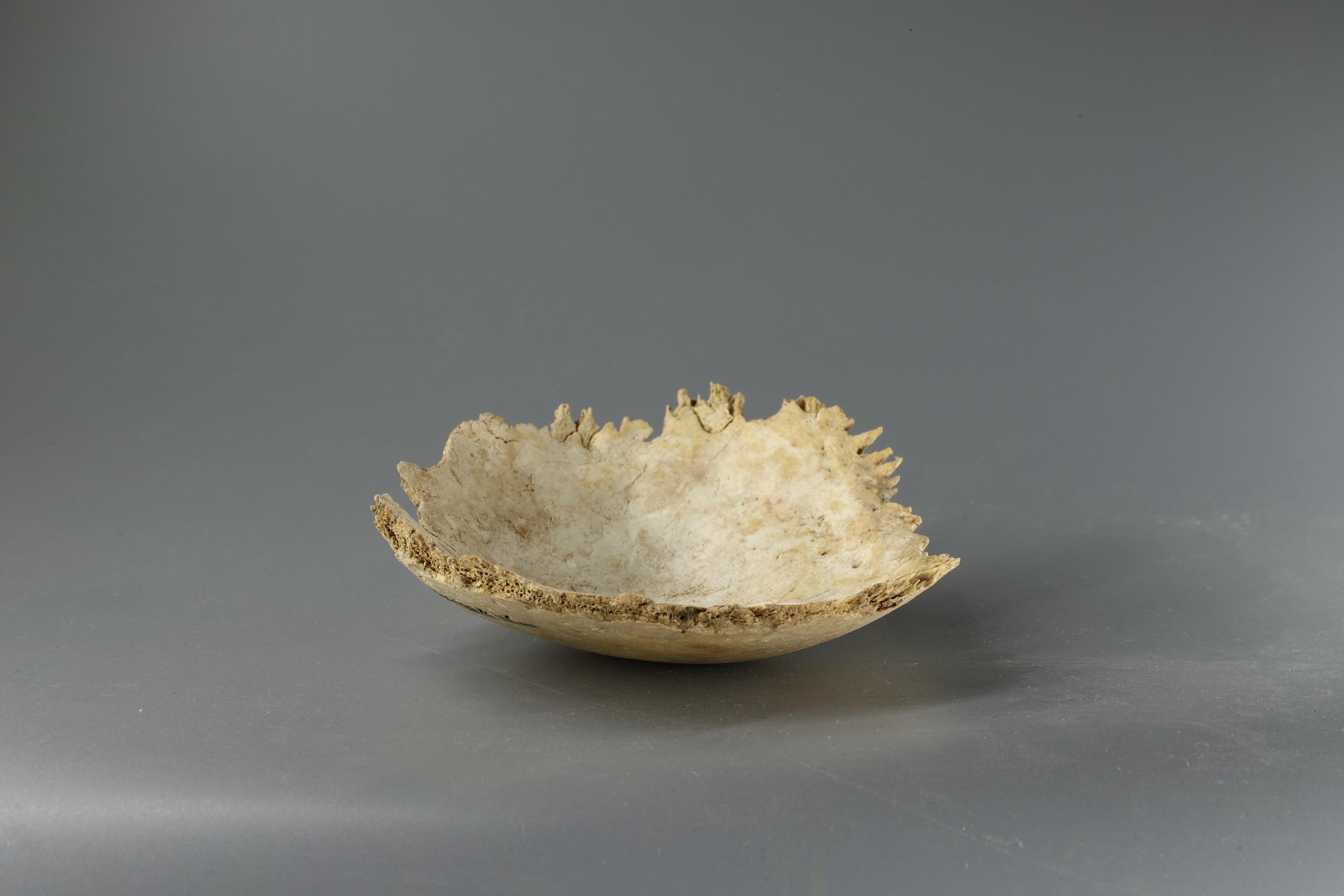 20260317125647406-45-b8e83.jpeg_scale.jpeg 20260317125647406-45-b8e83.jpeg_scale.jpeg