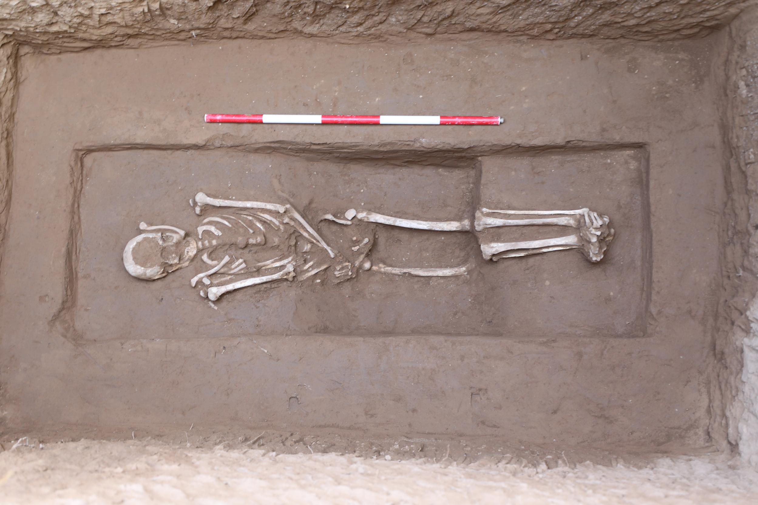 20260317125926814-40-00743.jpeg_scale.jpeg 20260317125926814-40-00743.jpeg_scale.jpeg